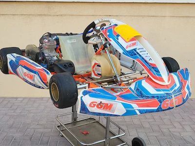 Tony Kart with Rotax Max 125cc