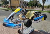 Senior Rotax Max 125cc Go Kart