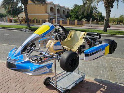 Senior Rotax Max 125cc Go Kart