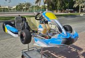 Senior Rotax Max 125cc Go Kart