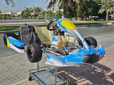 Senior Rotax Max 125cc Go Kart