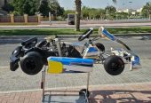 Senior Rotax Max 125cc Go Kart