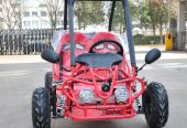 Megawheels Mini Utv kids 2 seater Off road Buggy 125 cc Fully automatic with Reverse and 2 seats