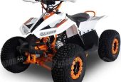 Megawheels Atv 80 cc Taiwanese Quad bike fully automatic With Warranty