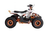 Megawheels Atv 80 cc Taiwanese Quad bike fully automatic With Warranty