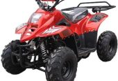 Megawheels 90 cc ATV Fully Automatic Kids QUAD bike Off roads With Warranty