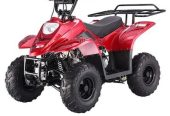 Megawheels 90 cc ATV Fully Automatic Kids QUAD bike Off roads With Warranty