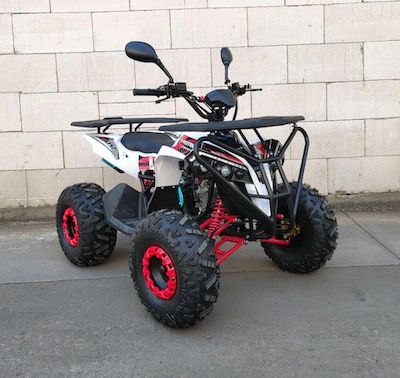 Megawheels 125 cc ATV AUAD BIKE WITH WARRANTY