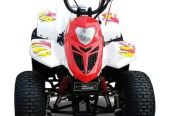 80 cc Taiwan engine Atv Quad bike High Qualitywith Warranty