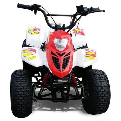 80 cc Taiwan engine Atv Quad bike High Qualitywith Warranty