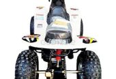 80 cc Taiwan engine Atv Quad bike High Qualitywith Warranty