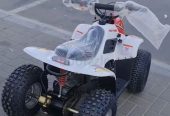 80 cc Taiwan engine Atv Quad bike High Qualitywith Warranty