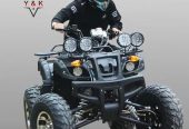 250 cc High quality ATV BIKE Speed 90 kmph with warranty