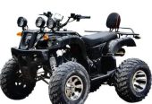 250 cc High quality ATV BIKE Speed 90 kmph with warranty