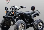 250 cc High quality ATV BIKE Speed 90 kmph with warranty