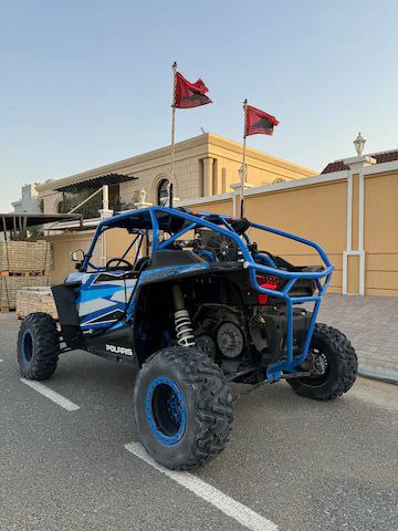 Rzr 2016