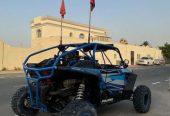 Rzr 2016