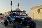 Rzr 2016