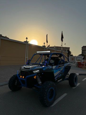 Rzr 2016