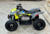 Polaris 110cc – بولارس