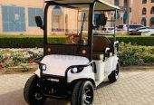 Megawheels Electric Eco Golf cart Buggy 6 seater With Warranty