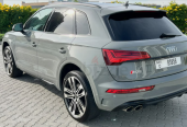 Audi SQ5 Other