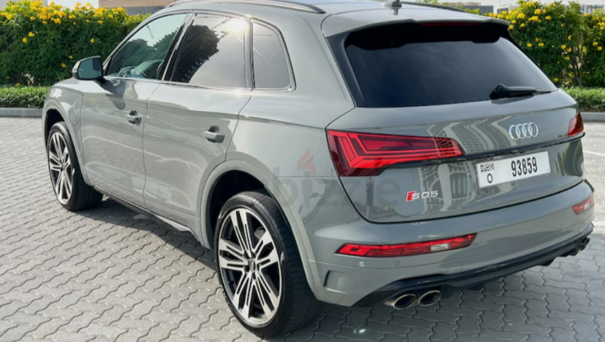 Audi SQ5 Other