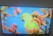 Smart TV LED