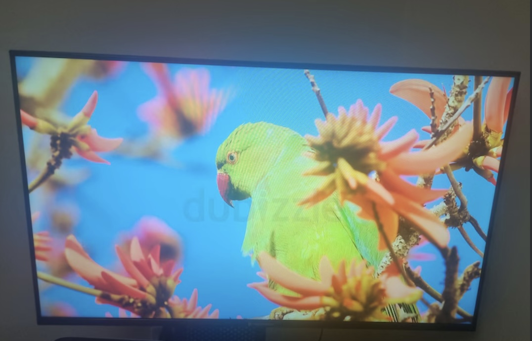Smart TV LED