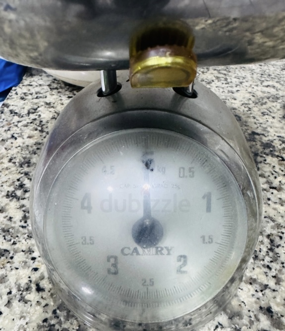 Camry 5Kg Stainless Steel Kitchen Scale