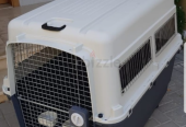 Dogs carriers for air travel