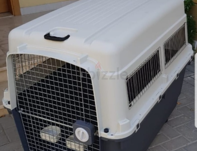 Dogs carriers for air travel