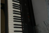 Digital piano Steiner Keyboard P115