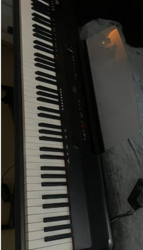 Digital piano Steiner Keyboard P115