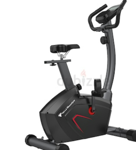 Exercise Bike, Upright Magnetic Indoor Bike, with Comfortable Seat, Performance Monitor,