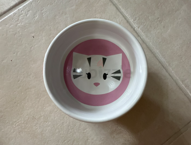 Cat Water Bowl