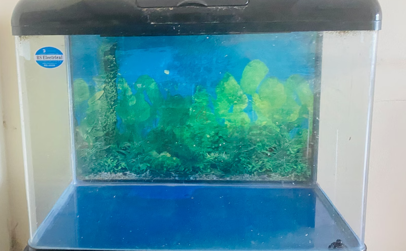 Aquariyum for sale