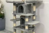 Cat House