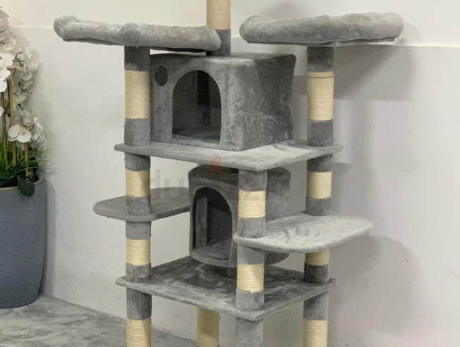 Cat House