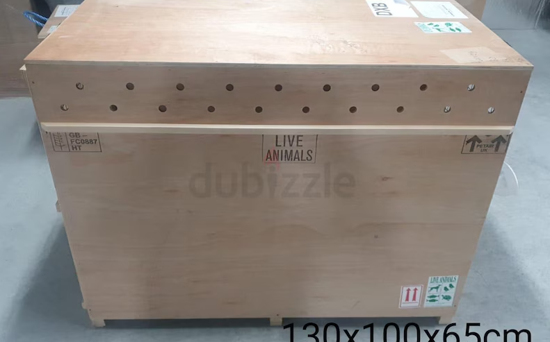 Dog travel crate