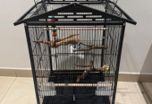 Bird Cages and stands package