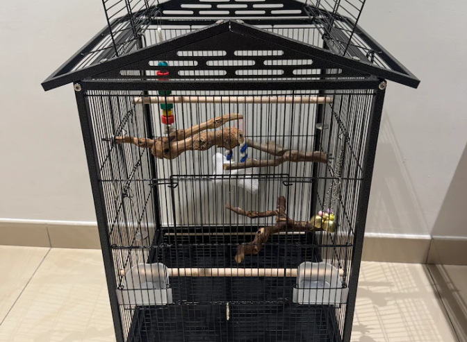 Bird Cages and stands package