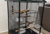 Bird Cages and stands package