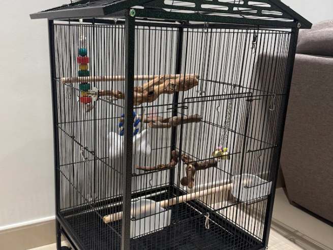 Bird Cages and stands package