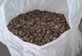 Big Sunflower seeds for birds/parrots