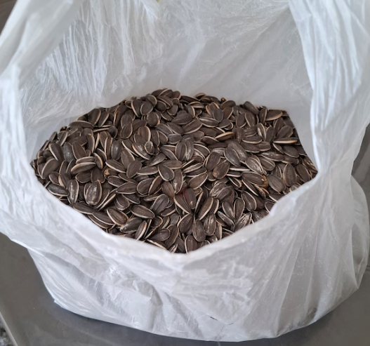 Big Sunflower seeds for birds/parrots