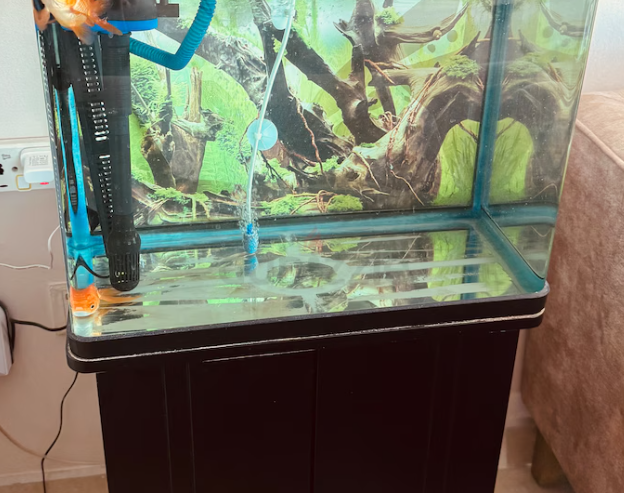 Fish Aquarium with all accessories