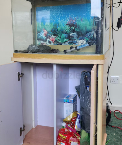 Aquarium with accessories