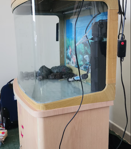 Aquarium with accessories