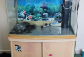 Aquarium with accessories